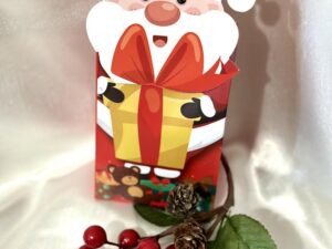 Mikulás Box Csokoládé Pralinékkal 105 g
